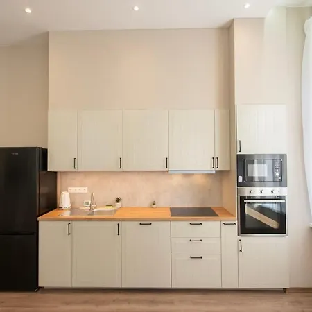 New And Spacious In Downtown