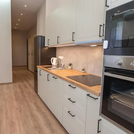 New And Spacious In Downtown Apartmán